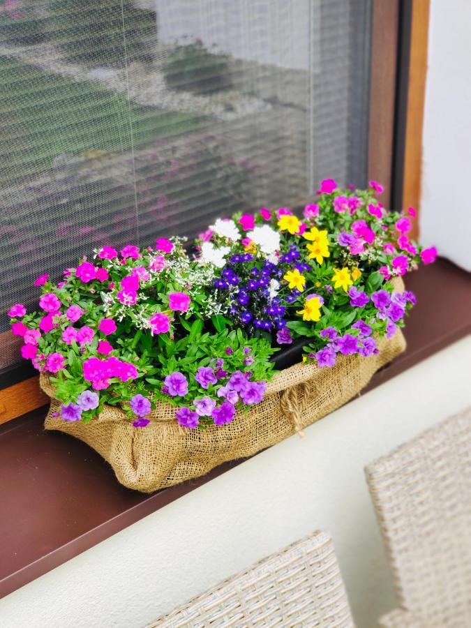 Grand Spa Holiday Home Sklené Teplice 외부 사진