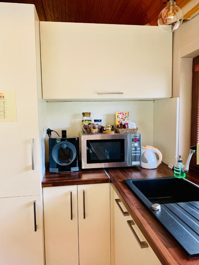 Grand Spa Holiday Home Sklené Teplice 외부 사진
