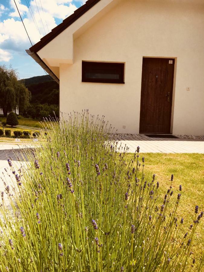 Grand Spa Holiday Home Sklené Teplice 외부 사진