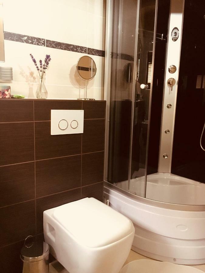 Grand Spa Holiday Home Sklené Teplice 외부 사진